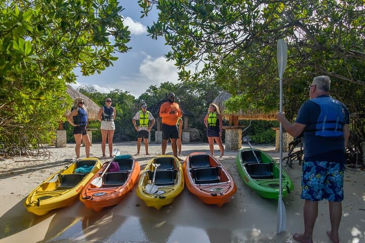 Clear Kayak & Snorkel at Mangel Halto: Paddle Over Reefs in Aruba