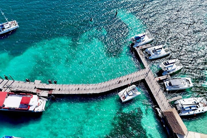 Private Cancún Catamaran: 4-Hour Snorkel Cruise at El Meco Reef photo 4