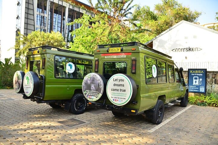 3-Day Gorilla Trekking from Kigali to Bwindi: Close Encounters with Mountain Gorillas