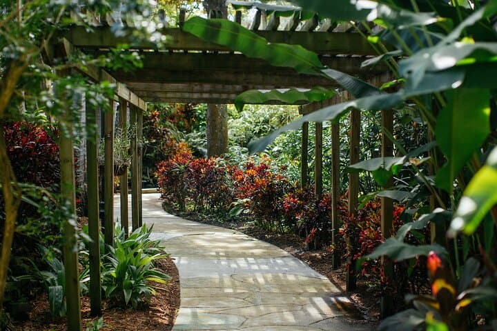 Aswan Private Tour: Kitchener's Botanical Garden & Elephantine Island photo 3