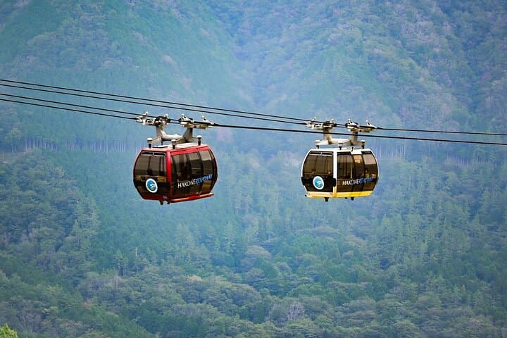 Hakone Wonders: Private Day Tour from Tokyo to Lake Ashi, Owakudani & Ropeway photo 5