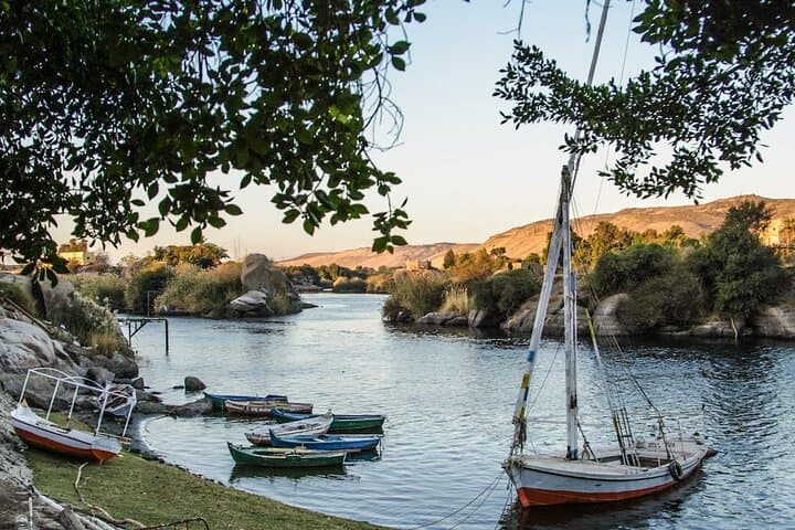 Aswan Private Tour: Kitchener's Botanical Garden & Elephantine Island photo 4