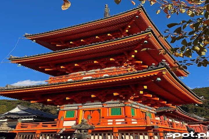 Explore Kyoto: Customized Private Full-Day Tour of Temples, Bamboo Grove & Markets photo 3