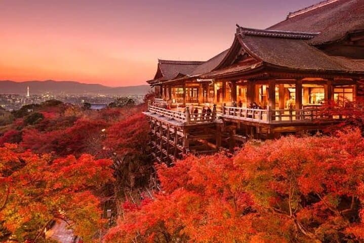 Explore Kyoto: Customized Private Full-Day Tour of Temples, Bamboo Grove & Markets photo 4