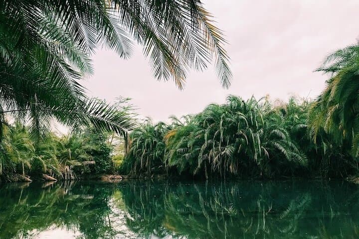 Kikuletwa (Chemka) Hot Springs Private Swimming Tour from Moshi photo 4
