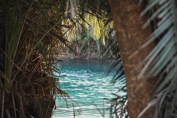 Kikuletwa (Chemka) Hot Springs Private Swimming Tour from Moshi