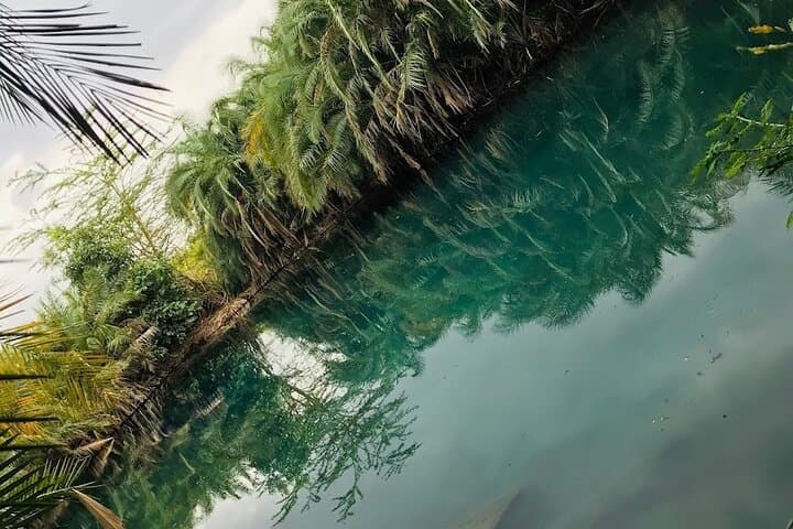 Kikuletwa (Chemka) Hot Springs Private Swimming Tour from Moshi photo 2