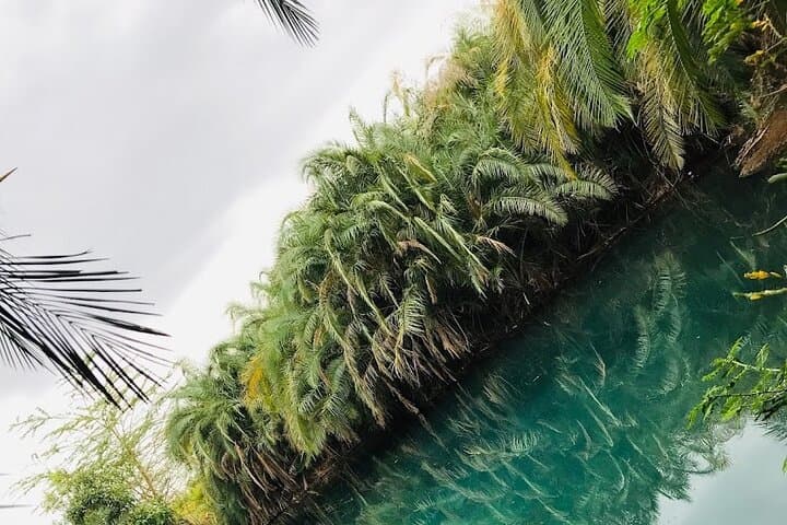 Kikuletwa (Chemka) Hot Springs Private Swimming Tour from Moshi photo 6