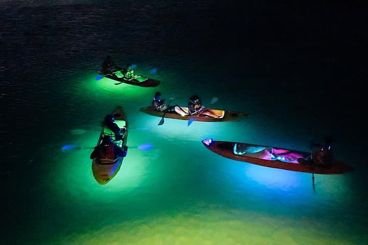 LED Night Kayak Tour in Aruba — Glow-on-the-Water Paddle Experience photo 2