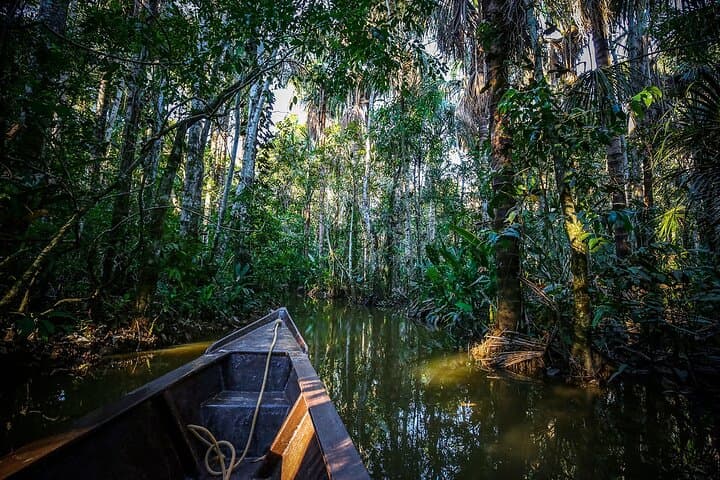 Iquitos Amazon Jungle Adventure: 4-Day Lodge & River Wildlife Expedition from Lima photo 5