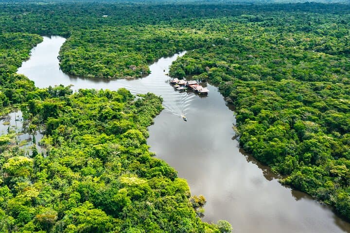 Iquitos Amazon Jungle Adventure: 4-Day Lodge & River Wildlife Expedition from Lima photo 2