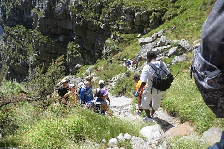 Hike Table Mountain: Platteklip or Skeleton Gorge with Private Transport