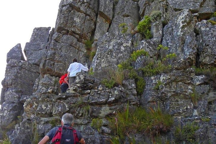 Hike Table Mountain: Platteklip or Skeleton Gorge with Private Transport photo 4