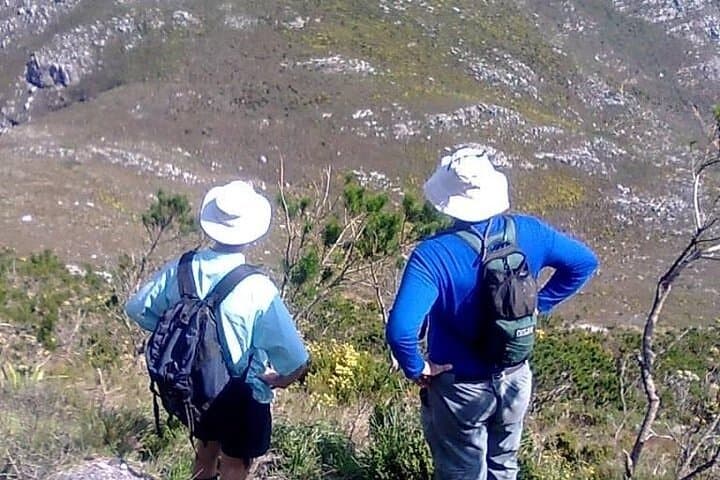 Hike Table Mountain: Platteklip or Skeleton Gorge with Private Transport photo 6