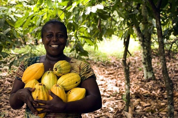 Cocoa Farm, Aburi Botanical Garden & Asenema Waterfall Day Tour from Accra photo 2