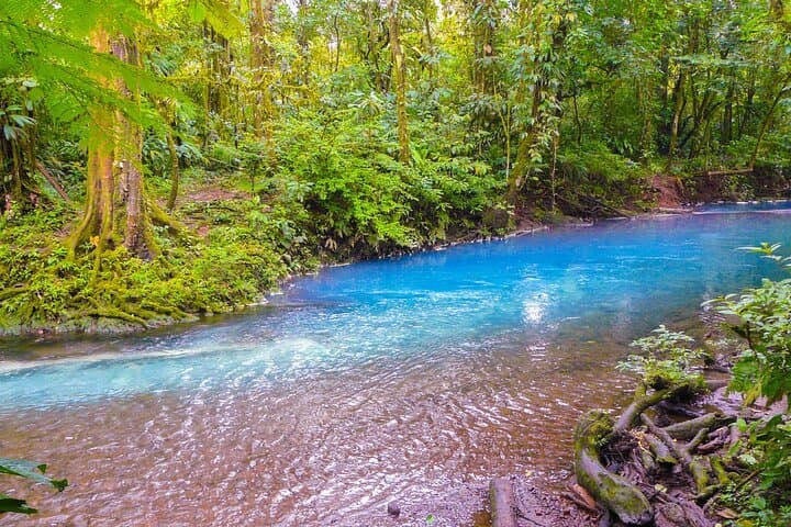 Rio Celeste Hike and Sloth-Watching in Tenorio National Park photo 3