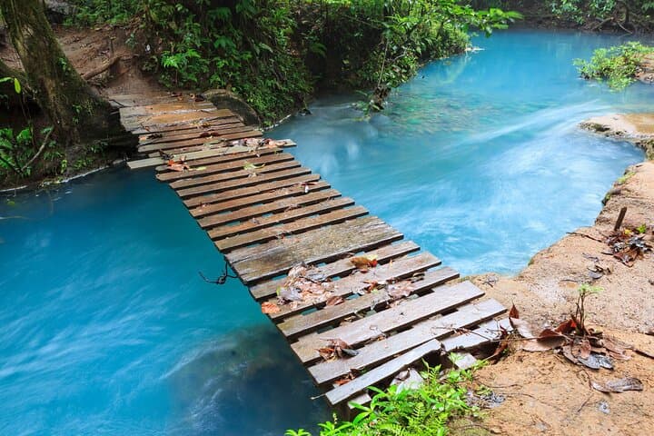 Rio Celeste Hike and Sloth-Watching in Tenorio National Park photo 6