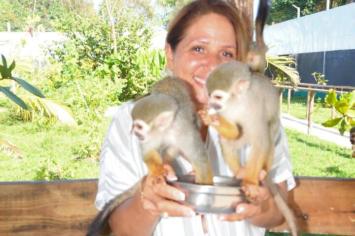 Puerto Plata Monkey Encounter and City Tour: Amber, Cable Car & San Felipe Fortress photo 5