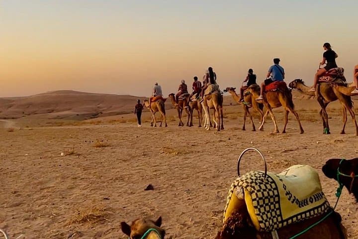 Atlas Mountains Day Trip from Marrakech: Imlil, Berber Culture & Toubkal Views photo 4