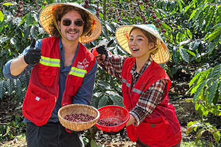 Hidden Dalat Coffee Farm & Elephant Waterfall Day Tour