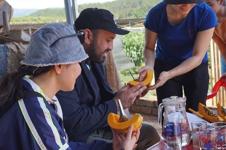 Hidden Dalat Coffee Farm & Elephant Waterfall Day Tour photo 3