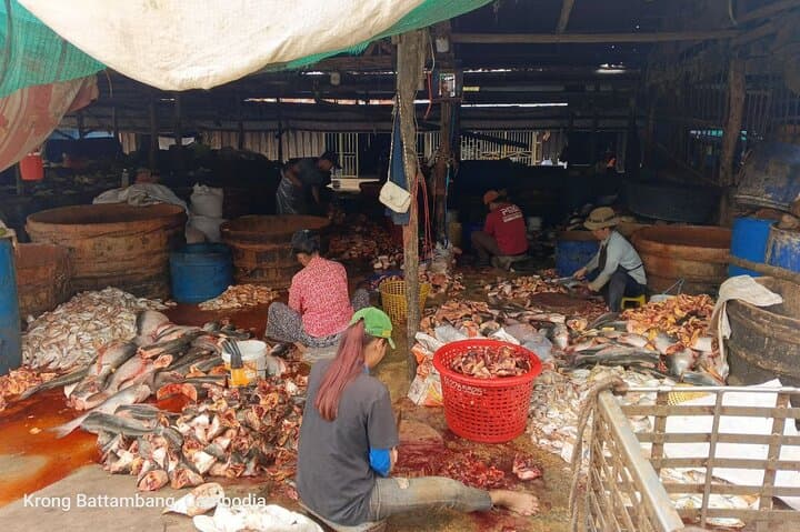 Battambang Full-Day: Bamboo Train, Handicrafts & Phnom Sampov Bat Caves photo 6