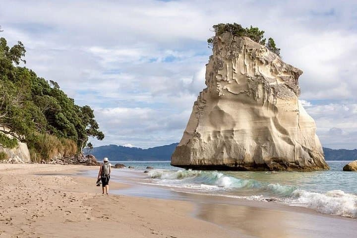 Cathedral Cove & Hot Water Beach Day Tour from Auckland — Private Coromandel Escape photo 3