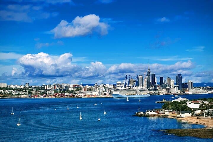 Auckland Half-Day City Tour — Heart of Auckland Scenic Highlights