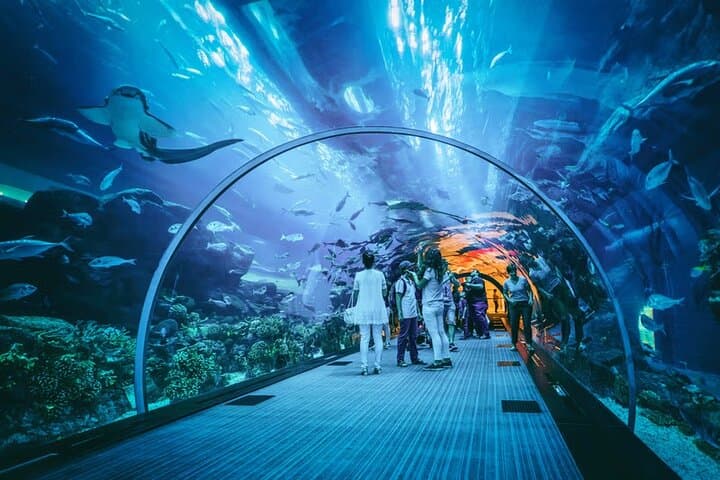 Aquaria KLCC: Direct Entry to Kuala Lumpur’s Premier Aquarium photo 2