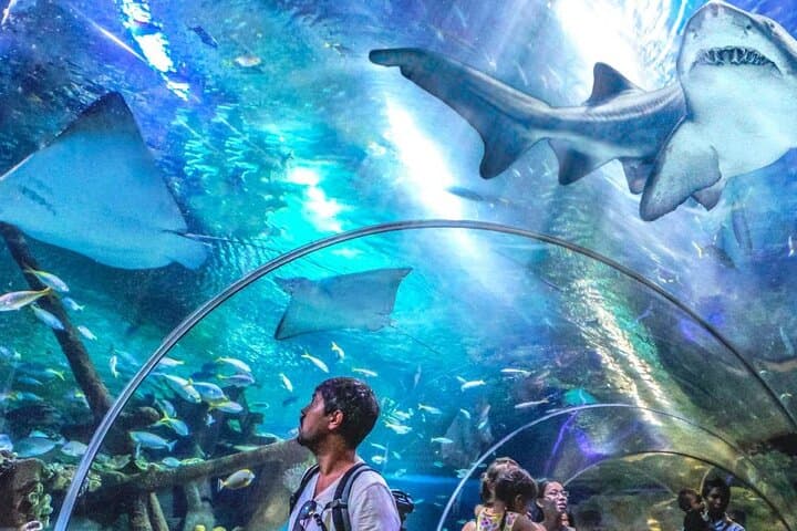 Aquaria KLCC: Direct Entry to Kuala Lumpur’s Premier Aquarium