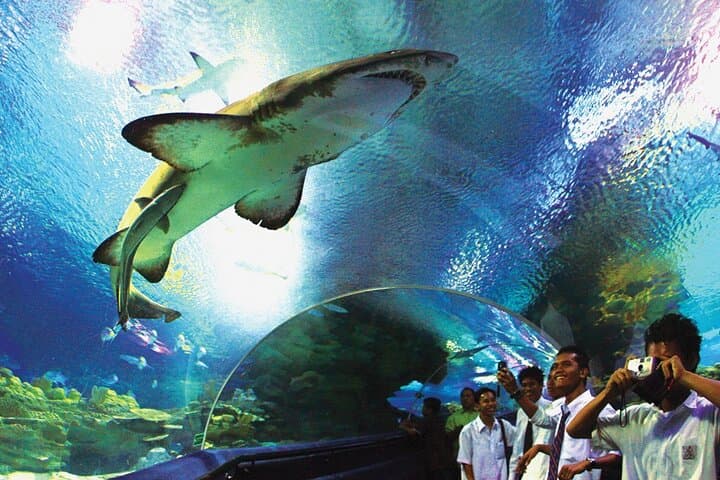 Aquaria KLCC: Direct Entry to Kuala Lumpur’s Premier Aquarium photo 3
