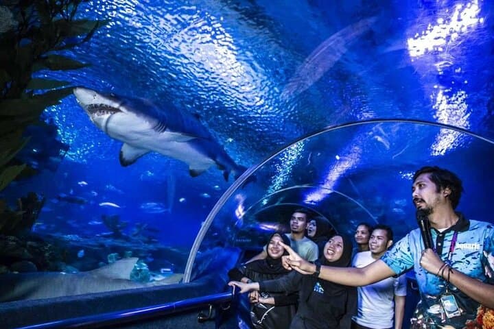 Aquaria KLCC: Direct Entry to Kuala Lumpur’s Premier Aquarium photo 5