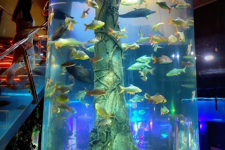 Aquaria KLCC: Direct Entry to Kuala Lumpur’s Premier Aquarium photo 6
