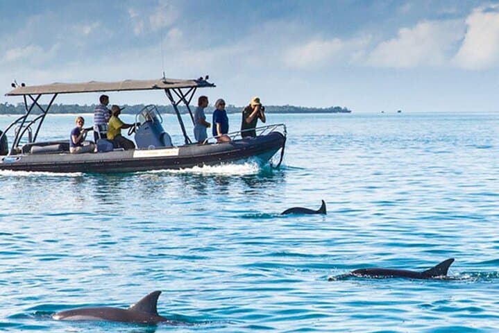 Kizimkazi Dolphin Watch & Snorkeling: Half-Day Eco Boat Cruise in Zanzibar