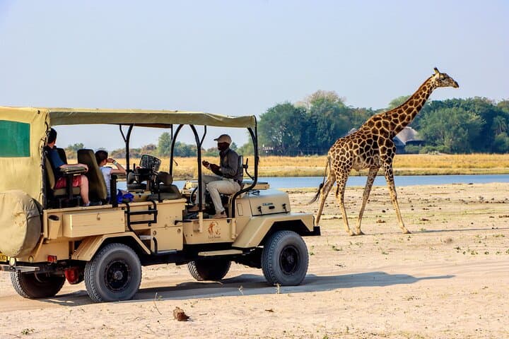 3-Hour Morning Game Drive on Chobe Riverfront — Kasane Safari