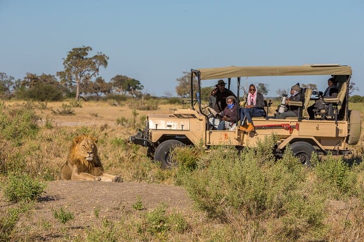 3-Hour Morning Game Drive on Chobe Riverfront — Kasane Safari photo 3