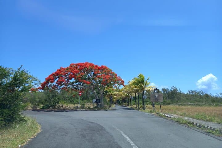 Private North Mauritius Day Tour: Port Louis, Pamplemousses & Mont Choisy