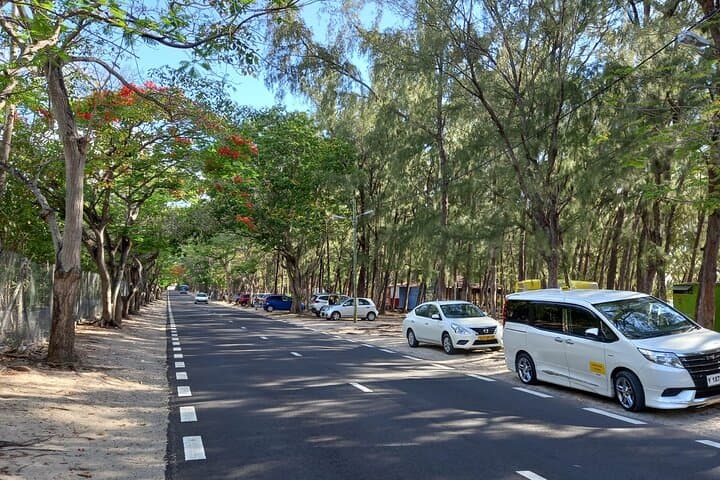 Private North Mauritius Day Tour: Port Louis, Pamplemousses & Mont Choisy photo 3