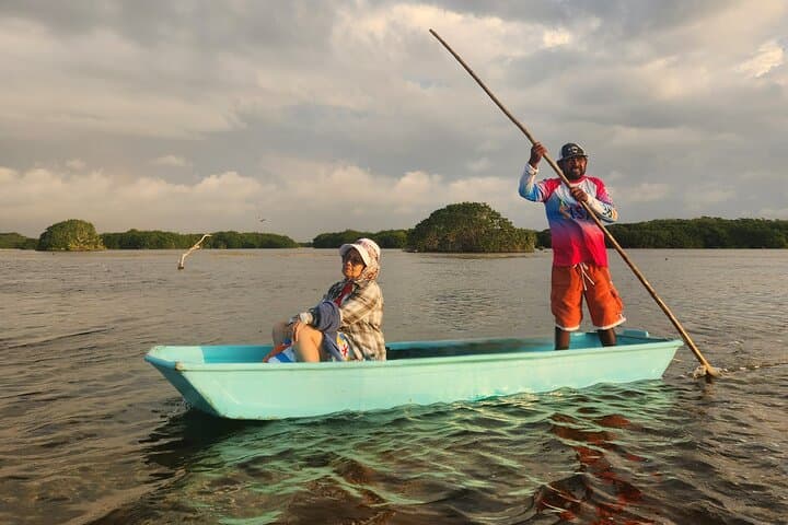 Sisal Flamingo Sunset Tour — Chalana & Kayak Estuary Experience photo 3