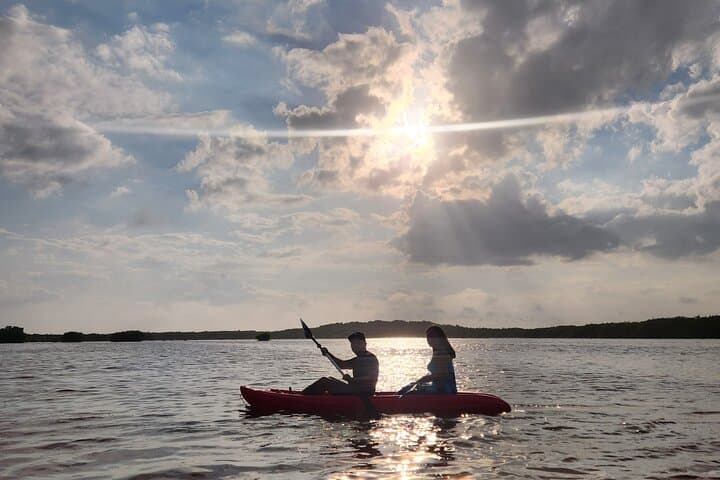 Sisal Flamingo Sunset Tour — Chalana & Kayak Estuary Experience photo 4