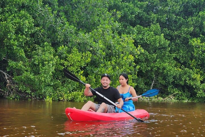 Sisal Flamingo Sunset Tour — Chalana & Kayak Estuary Experience