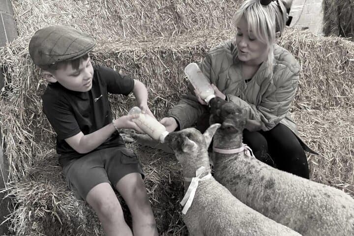 Bottle-Feeding Lambs on a Working Farm near Pendle Hill photo 3