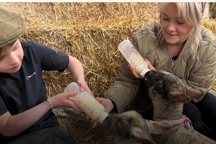 Bottle-Feeding Lambs on a Working Farm near Pendle Hill photo 5