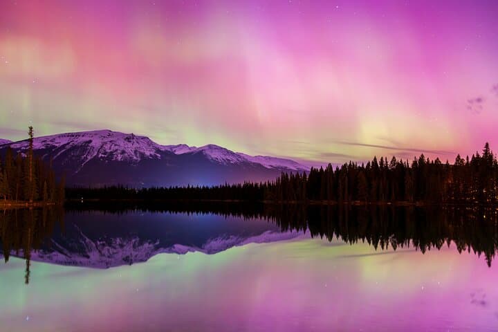 Wildlife and Night Skies in Jasper: Planetarium & Evening Wildlife Tour photo 2
