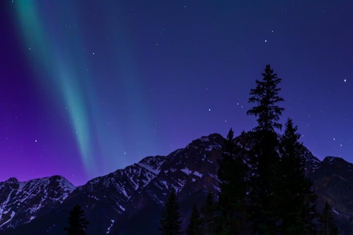 Wildlife and Night Skies in Jasper: Planetarium & Evening Wildlife Tour photo 3