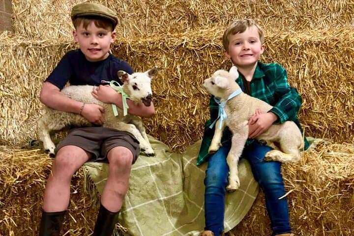 Bottle-Feeding Lambs on a Working Farm near Pendle Hill photo 6