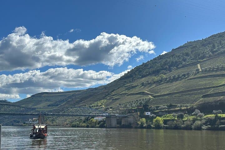 Douro Valley Wine Tasting, Boat Cruise & Lunch from Porto photo 4