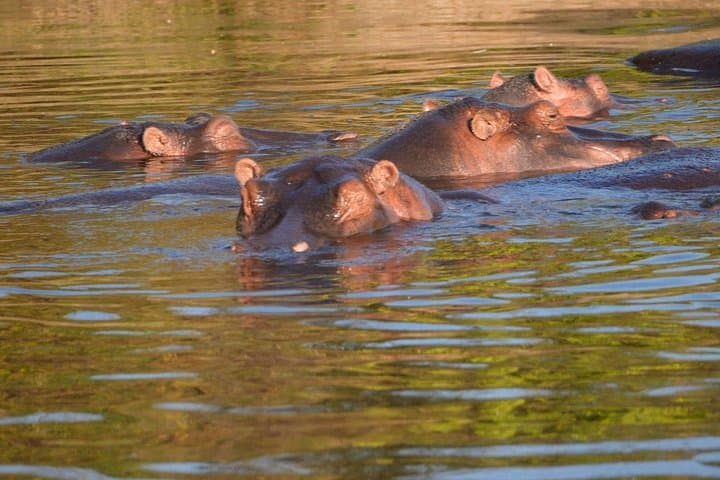 3-Day Tarangire and Ngorongoro Safari from Arusha — Classic Wildlife Game Drives photo 2