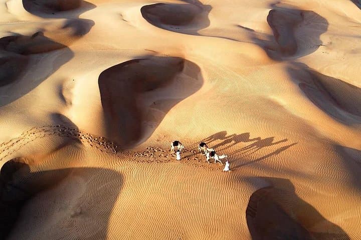 Wahiba Sands Sunset Camel Ride from Muscat — Bidiya Desert Experience photo 6