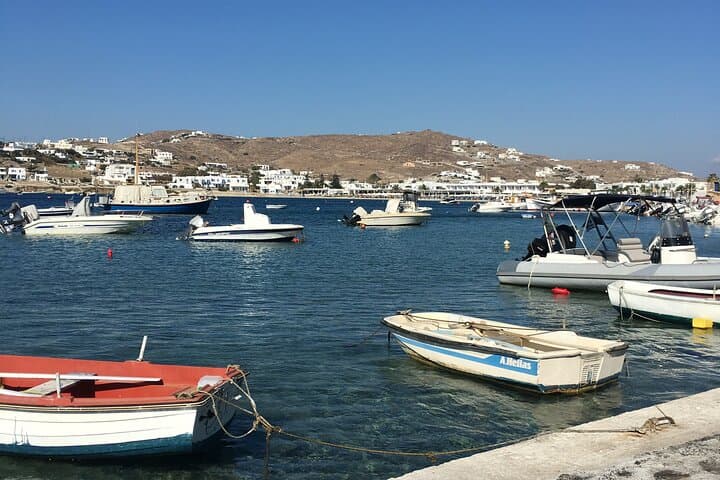 Half-Day Private Mykonos Island Tour: Beaches, Villages & Panoramic Stops photo 5